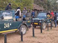 कान्हा टाइगर रिजर्व में जंगल सफारी के लिए HSRP नंबर प्लेट अनिवार्य, वाहन रजिस्ट्रेशन के बाद ही मिलेगी एंट्री