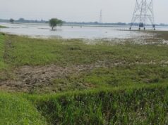 बाढ़ में फसल बर्बाद होने पर बीमा कंपनी ने रोका दावा, किसान को मिलेंगे 1.48 लाख से अधिक