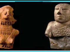 इंदौर में दिखेगा सिंध का 1800 साल पुराना इतिहास, दुर्लभ सिक्के होंगे खास आकर्षण