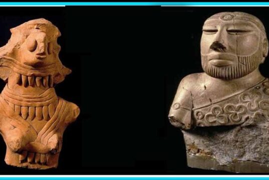 इंदौर में दिखेगा सिंध का 1800 साल पुराना इतिहास, दुर्लभ सिक्के होंगे खास आकर्षण