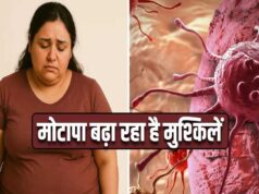मोटापा-तनाव बढ़ा रहे कैंसर का खतरा! पुरुषों में ओरल तो महिलाओं में ब्रेस्ट कैंसर के मामले बढ़े