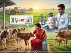 लखीसराय में 100 करोड़ से बनेगा अत्याधुनिक सीमेन स्टेशन, बढ़ेगा दुग्ध उत्पादन