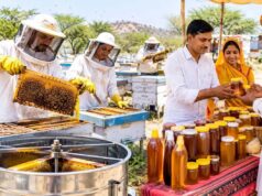 राजस्थान में 17.5 करोड़ से बनेंगे मधुमक्खी एक्सीलेंस सेंटर, युवाओं को मिलेगा प्रशिक्षण और रोजगार