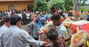 CG में पोला पर्व की धूम, CM विष्णुदेव साय कार्यक्रमों में होंगे शामिल
