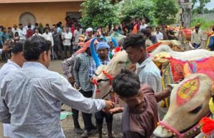 CG में पोला पर्व की धूम, CM विष्णुदेव साय कार्यक्रमों में होंगे शामिल