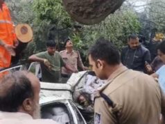 इंदौर में दर्दनाक हादसा: कार पर गिरा पेड़, डिप्टी कलेक्टर की मां की मौत; दो घायल