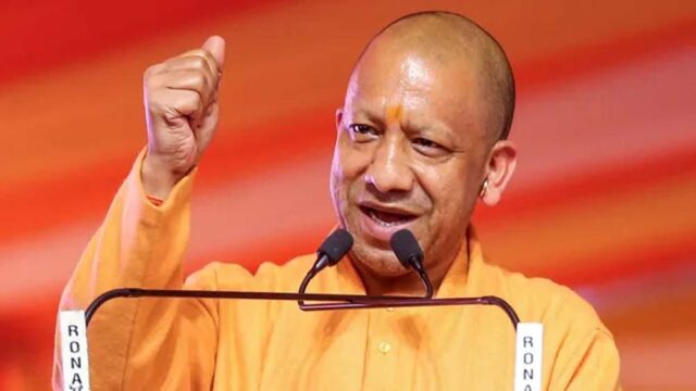 Yogi_08-1.jpg