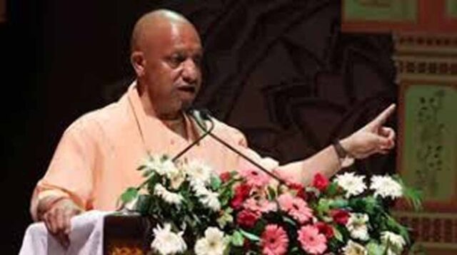 cm_yogi_2-3.jpg