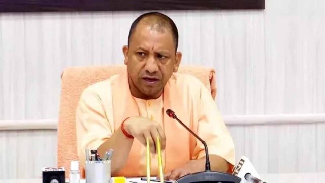 cm_yogi_5-3.jpg