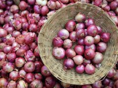 3 महीने में 82% महंगा हुआ प्याज, ₹30 से बढ़कर ₹54 किलो पहुंचा भाव