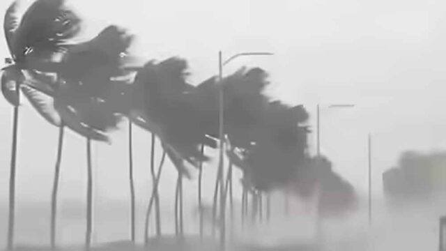 rain_2-2.jpg