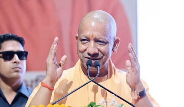 yogi-11.jpg