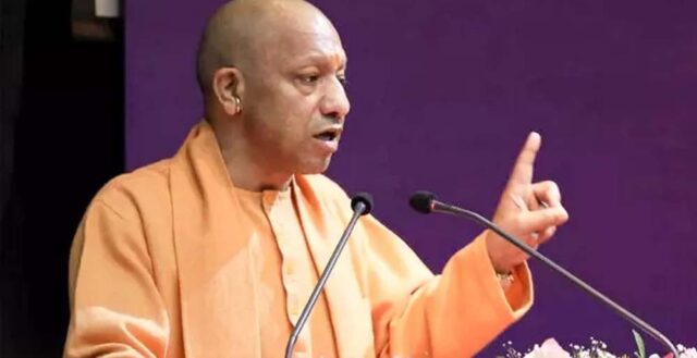 yogi_2_27_1-13.jpg