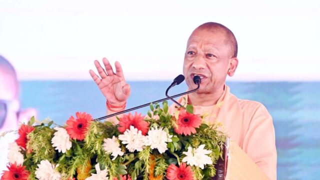 yogi_52-3.jpg