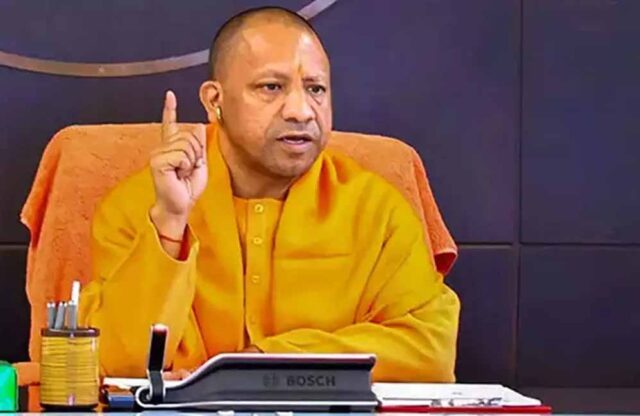 yogi_60_1-1.jpg
