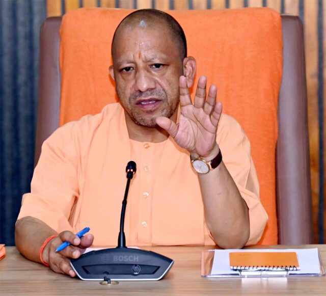 yogi_cm.jpg