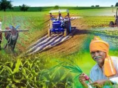 बिहार के DMI पटना के छात्र पंजाब के गांवों में सीखेंगे विकास प्रबंधन के गुर, चार हफ्ते रहेगा प्रवास