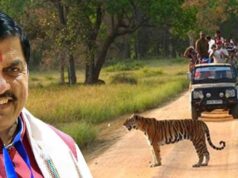 कान्हा एशिया का सबसे बड़ा नेशनल पार्क, वन्य प्राणियों के नैसर्गिंक जीवन निहारने एक बार कान्हा जरूर आएं : मुख्यमंत्री डॉ. यादव