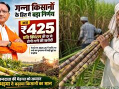 छत्तीसगढ़ में गन्ना मूल्य ₹425 प्रति क्विंटल, देश में सबसे ज्यादा दर देने का दावा