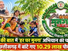 छत्तीसगढ़ में कुपोषण और एनीमिया से लड़ने के लिए शुरू होगा ‘हर घर मुनगा, घर-घर मुनगा’ अभियान