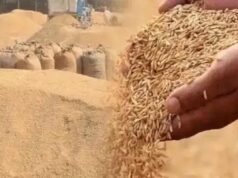 झारखंड के किसानों को अब धान पर मिलेगा ₹109 प्रति क्विंटल बोनस, सरकार पर पड़ेगा ₹43.60 करोड़ का अतिरिक्त बोझ