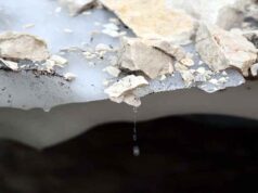 स्लोवेनिया का आखिरी ग्लेशियर भी खतरे में, 80 साल में आधी रह गई बर्फ