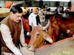 भोपाल में आदर्श गौ शाला स्थापित करने के कार्य को शीघ्र पूर्ण करें: मुख्यमंत्री डॉ. यादव