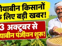 3 अक्टूबर से सोयाबीन पंजीयन शुरू, भावांतर योजना में फिर होगी खरीदी; ₹1 से वेरिफिकेशन