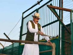 कान्हा टाइगर रिजर्व में 100 साल बाद लौटी जंगली भैंसों की रौनक, CM मोहन यादव ने 8 भैंसों को छोड़ा