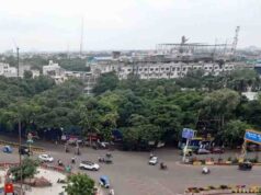 इंदौर में 182 हरे-भरे पेड़ों की कटाई को हाई कोर्ट की सशर्त मंजूरी, हजारों पक्षी होंगे प्रभावित