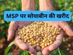 सोयाबीन उपार्जन के लिए किसानों का पंजीयन 3 से 17 अक्टूबर तक