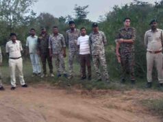 कूनो में चीते की गोली मारकर हत्या का मामला, 6 वनकर्मी सस्पेंड और STF गठित