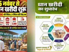 छत्तीसगढ़ के किसानों को बड़ी सौगात, 360 नए धान खरीदी केंद्र खुलेंगे; 15 नवंबर से खरीद शुरू