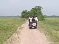 असम के जंगलों में लौटी रौनक, मानस-काजीरंगा में सफारी शुरू; 13 अक्टूबर को खुलेगा पोबितोरा