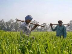 राजस्थान के किसानों को बड़ी राहत, डूंगरपुर और जालोर में करोड़ों के फसल बीमा क्लेम का रास्ता साफ