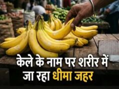 नवरात्र में केले की बढ़ी मांग, केमिकल से पकाने का खतरा! खरीदते समय इन बातों का रखें ध्यान