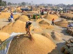 हरियाणा में धान खरीद को लेकर किसानों का फूटा गुस्सा, जींद में लगाया जाम; अंबाला मंडियों में पुलिस तैनात