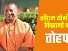 किसानों से 2.85 लाख मीट्रिक टन मोटा अनाज खरीदेगी योगी सरकार