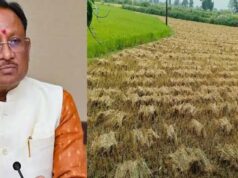 CM साय का बड़ा निर्देश, ‘अर्नब’ चक्रवात से फसल नुकसान का होगा सर्वे; जल्द मिलेगा मुआवजा