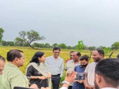 छत्तीसगढ़ में काले चावल की खेती से चमकेगी किसानों की किस्मत, 35 हजार रुपये क्विंटल तक है कीमत