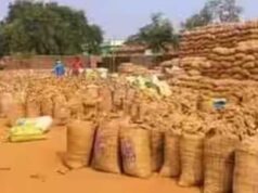 15 नवम्बर से शुरू होगी धान खरीदी, 27.50 लाख से अधिक किसानों से ₹3100 प्रति क्विंटल की दर से खरीदा जाएगा धान