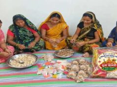 नवरात्रि विशेष: हमने लहराया अपने हुनर और हौसले का परचम