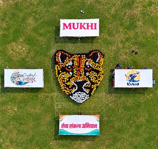 rangoli.jpg