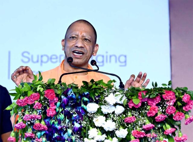 yogi.jpg