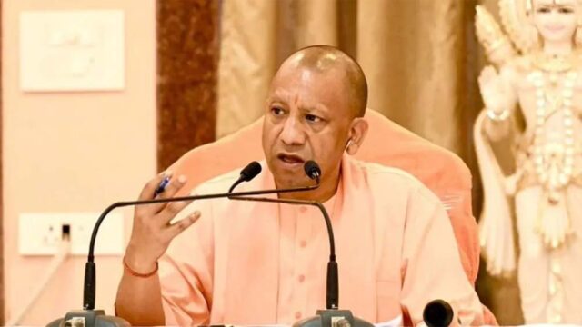 yogi3-5.jpg
