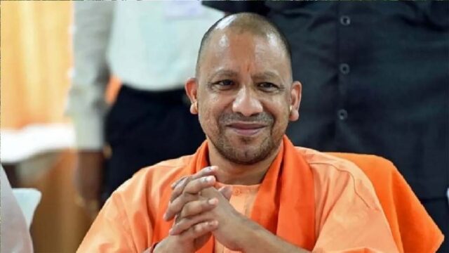 yogi4-4.jpg