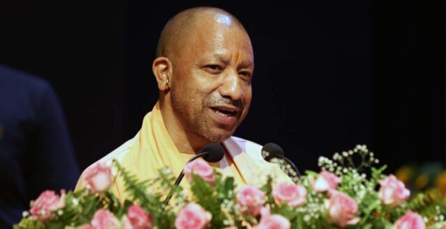 yogi_0_2_3-7.jpg