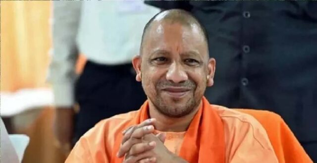yogi_2_27_2-12.jpg